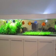 Expert-en-amenagement-interieur-Antibes-Cuisin-diffusion