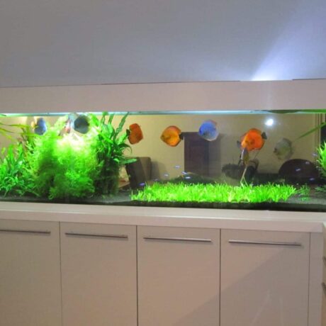 Expert-en-amenagement-interieur-Antibes-Cuisin-diffusion