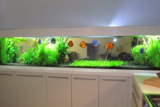 Expert-en-amenagement-interieur-Antibes-Cuisin-diffusion